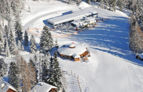 Zirberl Deluxe Appartement direkt an der Piste